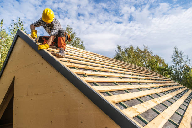 Best Roof Gutter Cleaning  in Altamont, NY